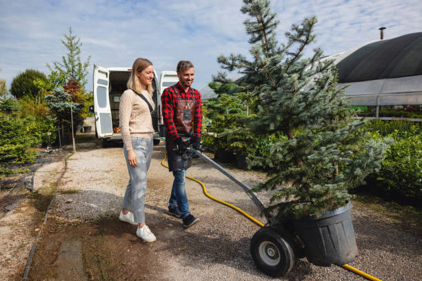 Best Tree and Shrub Care  in Claxton, GA